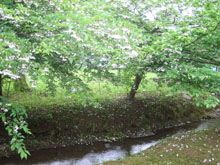 b0047345_1554035.jpg