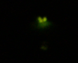 a0048852_23224472.jpg