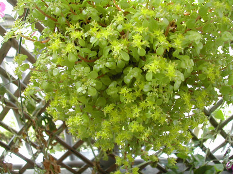 a0088456_21113943.jpg
