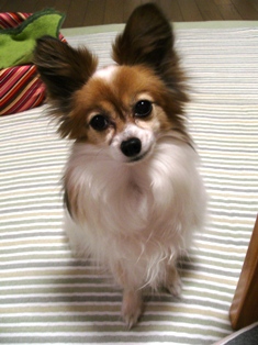 e0043162_23272294.jpg