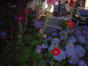 a0085663_0174555.jpg