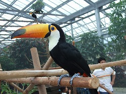 a0026567_1133550.jpg