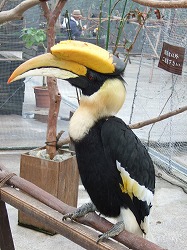 a0026567_1151118.jpg