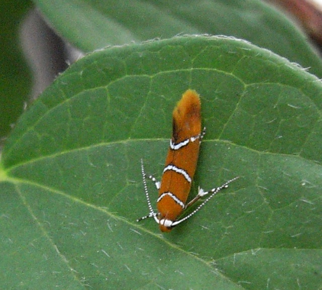 b0070071_959155.jpg