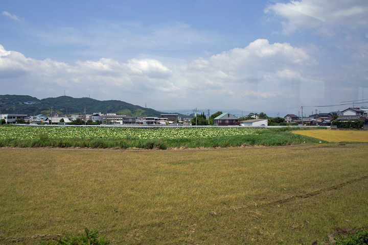 e0002371_22115956.jpg