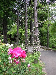 a0035678_13344436.jpg