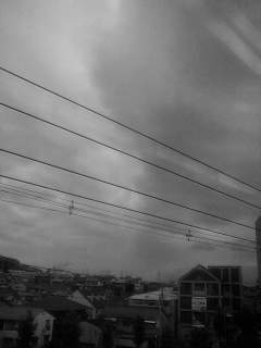 f0100480_938194.jpg