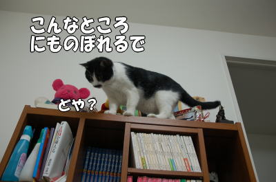 b0041182_2230040.jpg