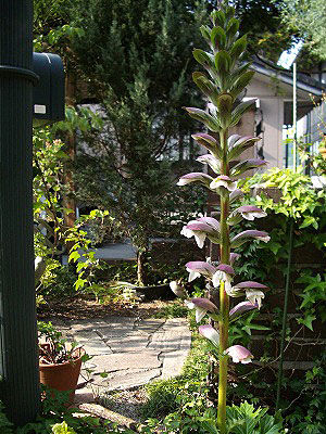 c0045882_22101114.jpg