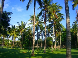 b0101284_22434050.jpg