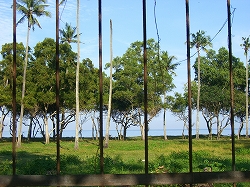 b0101284_22474259.jpg