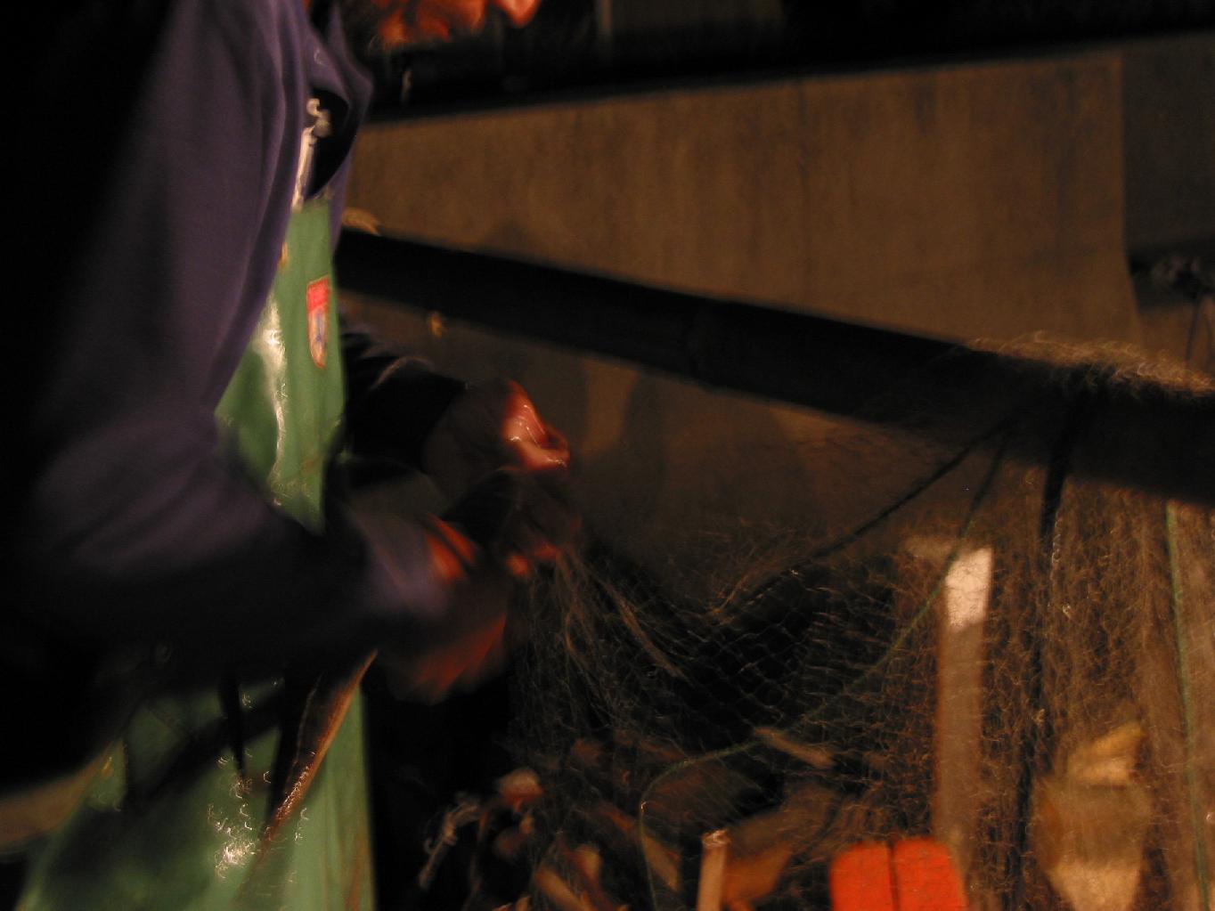 f0131491_15464796.jpg