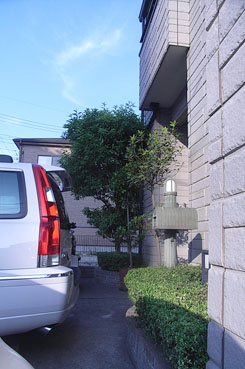 c0096393_15422540.jpg