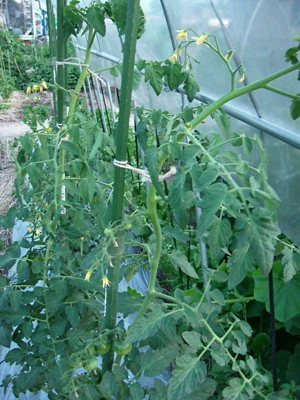 f0070493_14423898.jpg