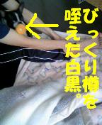 c0092097_15235395.jpg