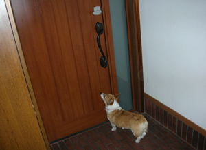 d0104705_1754939.jpg