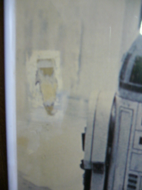 e0015108_747693.jpg