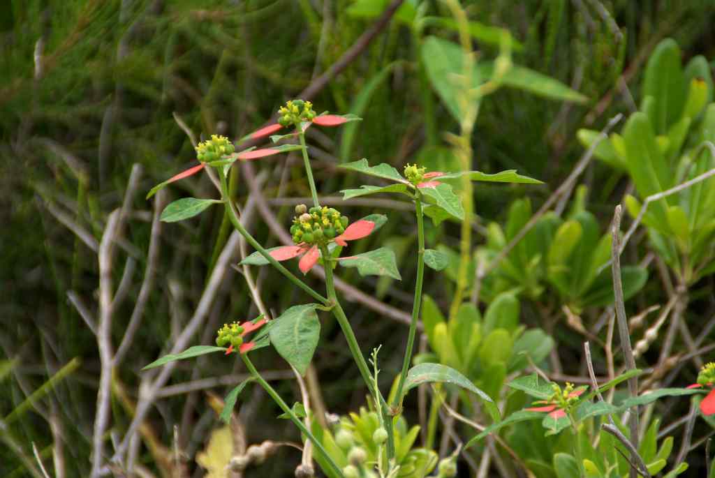 d0053930_633335.jpg