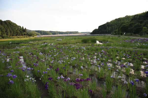 e0025930_2046368.jpg