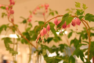 f0045630_0422956.jpg
