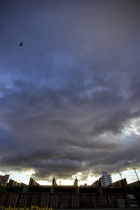 d0004832_9182085.jpg