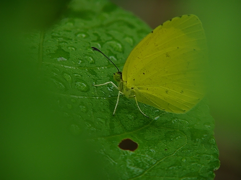 b0025738_320397.jpg