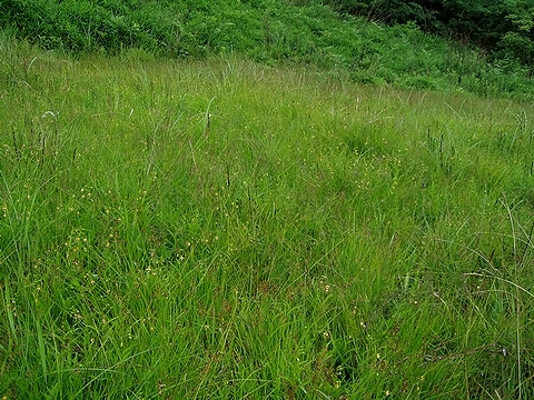 b0025738_3242190.jpg