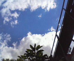 a0068339_2302488.jpg