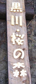 e0049740_18553892.jpg
