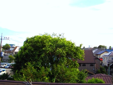 c0104742_17254160.jpg