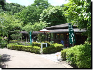 6月15日茶店
