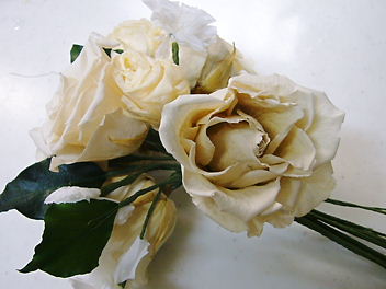 e0100046_18225364.jpg