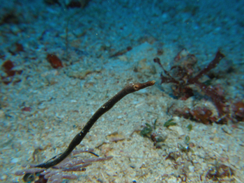 d0065247_20303224.jpg