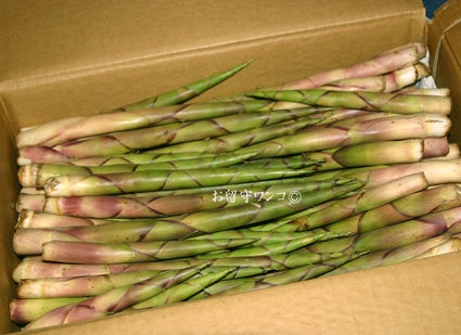 f0111147_9571693.jpg