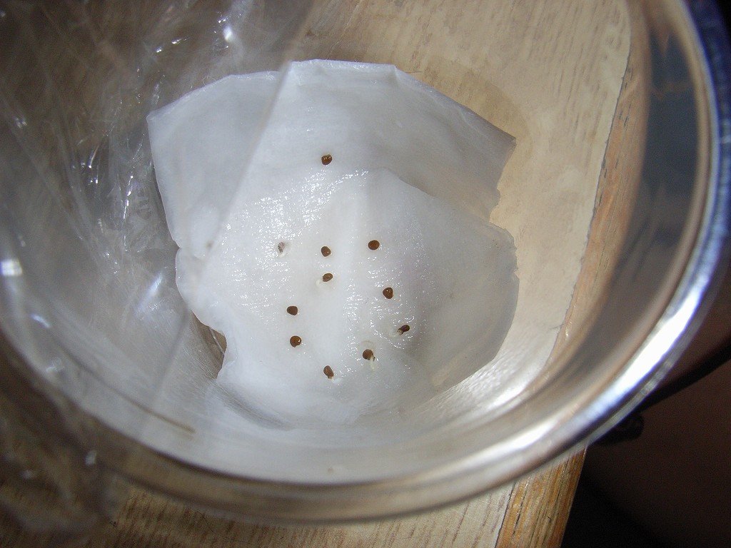b0029648_20264981.jpg