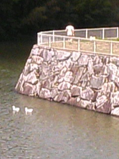 d0056948_11282451.jpg