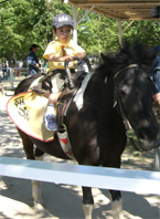 d0016750_20425531.jpg