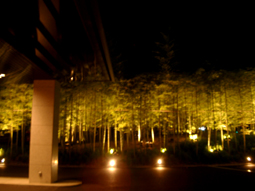 c0069552_7521285.jpg