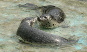 e0080452_20235362.jpg