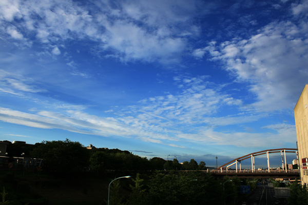 e0122855_2121513.jpg