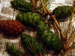 d0029958_20193964.jpg