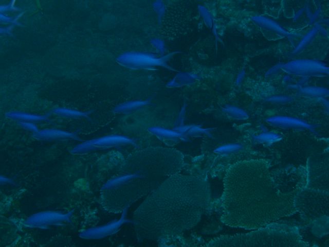 d0018877_2311724.jpg