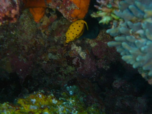 d0018877_23261350.jpg