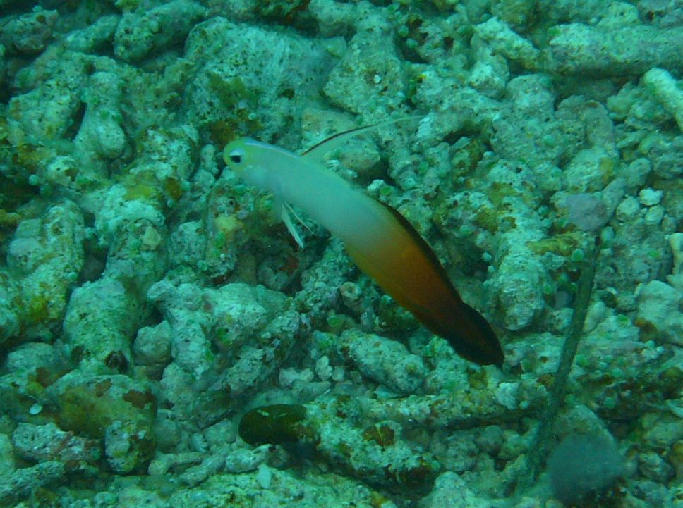 d0018877_23463769.jpg