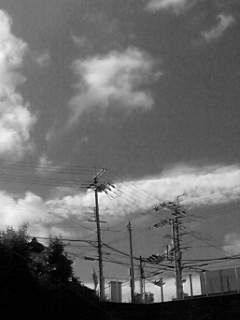 f0100480_1728170.jpg