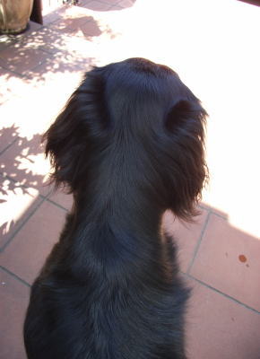 f0045283_13222290.jpg