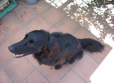 f0045283_13225892.jpg