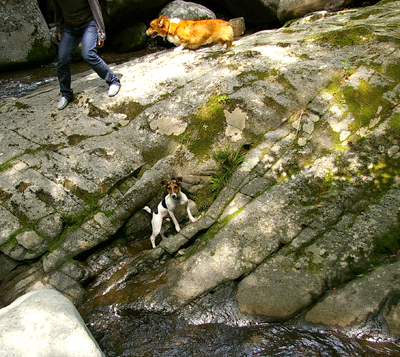 b0002585_9432298.jpg