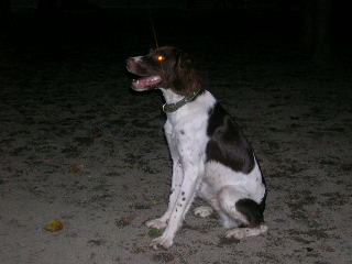 c0123890_22102779.jpg