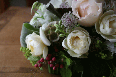 d0100192_8244285.gif